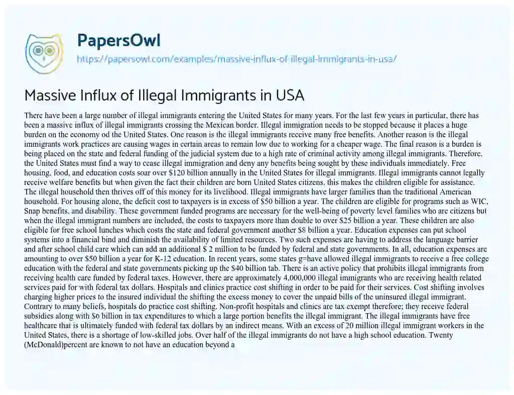 Massive Influx of Illegal Immigrants in USA essay