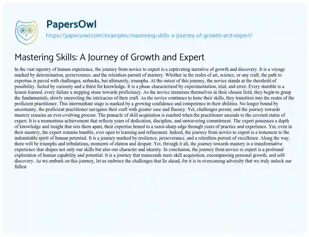 Essay on Mastering Skills: a Journey of Growth and Expert