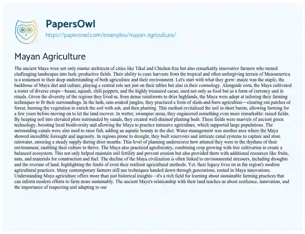 Essay on Mayan Agriculture