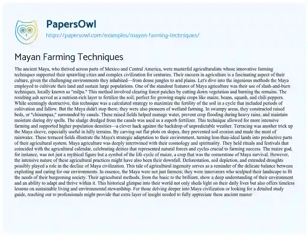 Essay on Mayan Farming Techniques