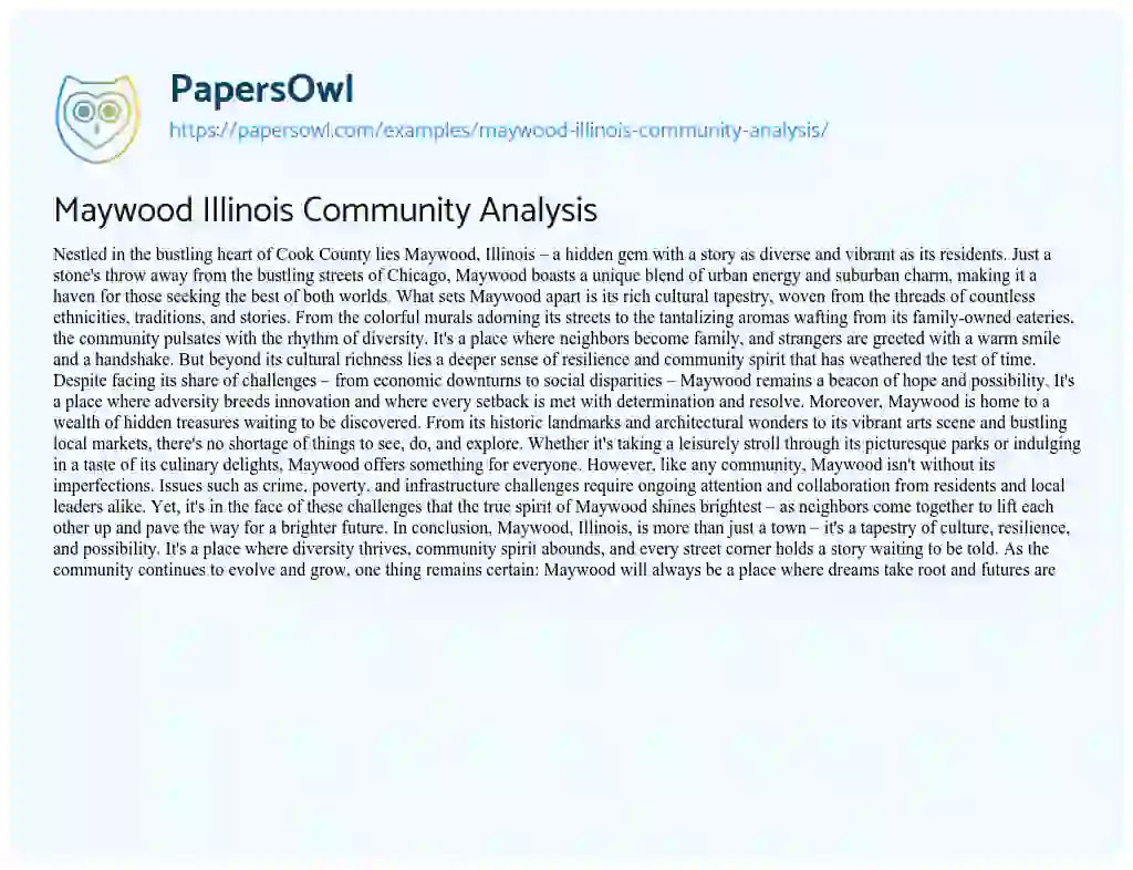 Essay on Maywood Illinois Community Analysis