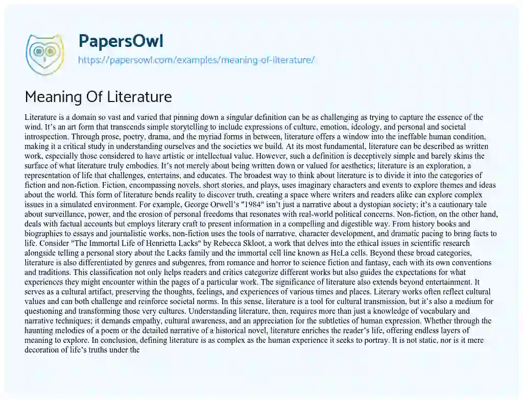 Essay on Meaning of Literature