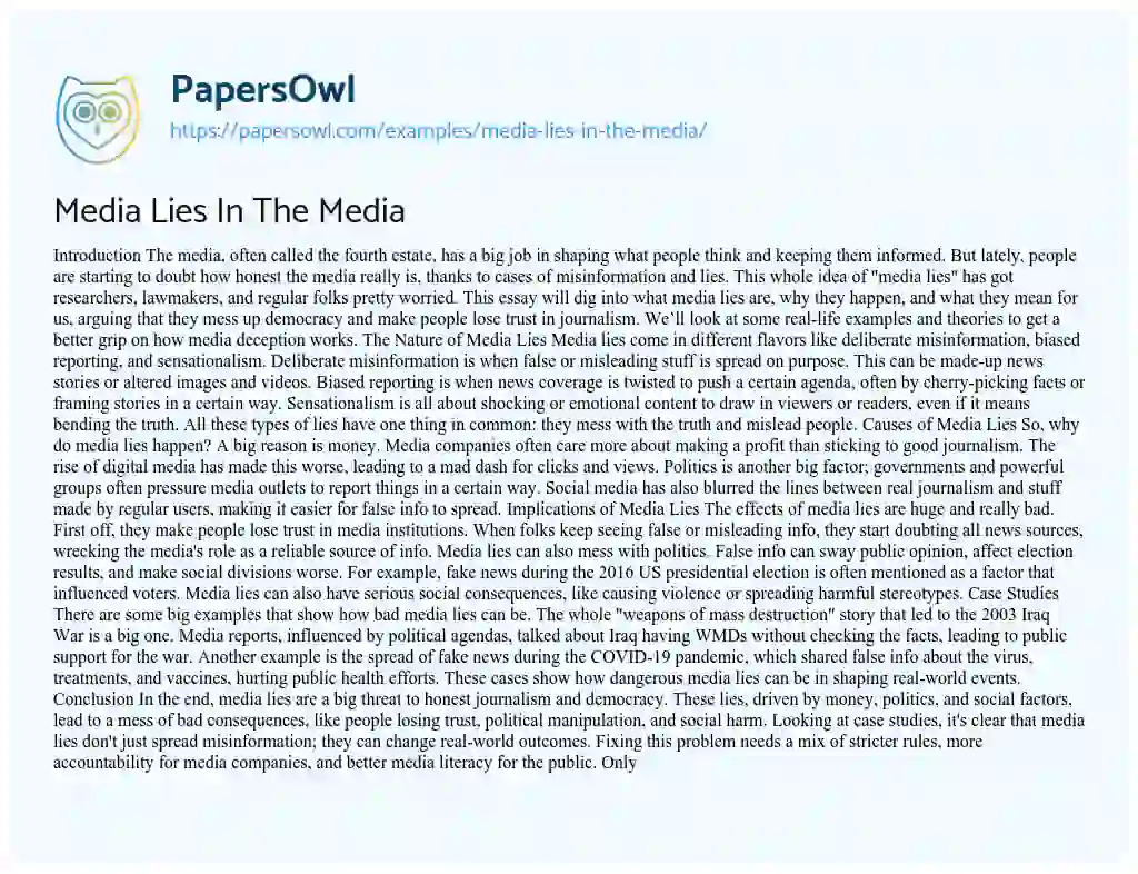 Essay on Media Lies in the Media