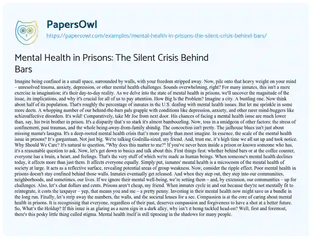 Essay on Mental Health in Prisons: the Silent Crisis Behind Bars