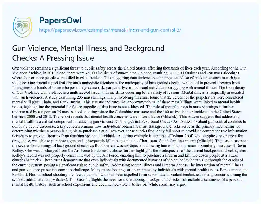 Essay on Mental Illness and Gun Control