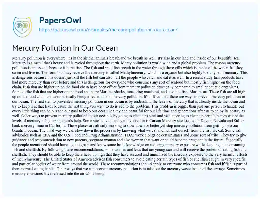 Essay on Mercury Pollution in our Ocean