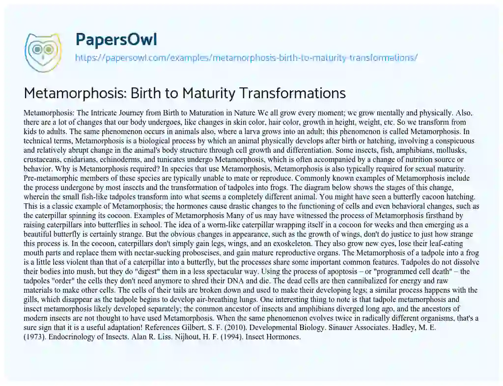 Essay on Metamorphosis: Birth to Maturity Transformations