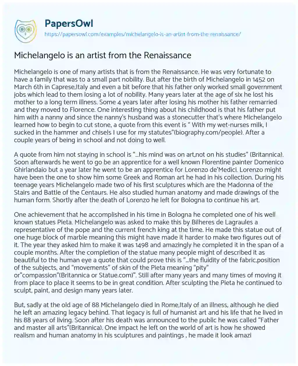 Essay on Michelangelo is an Artist from the Renaissance