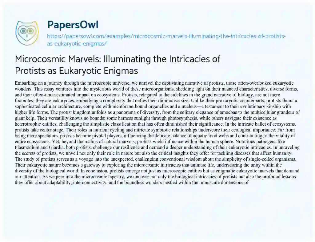 Essay on Microcosmic Marvels: Illuminating the Intricacies of Protists as Eukaryotic Enigmas