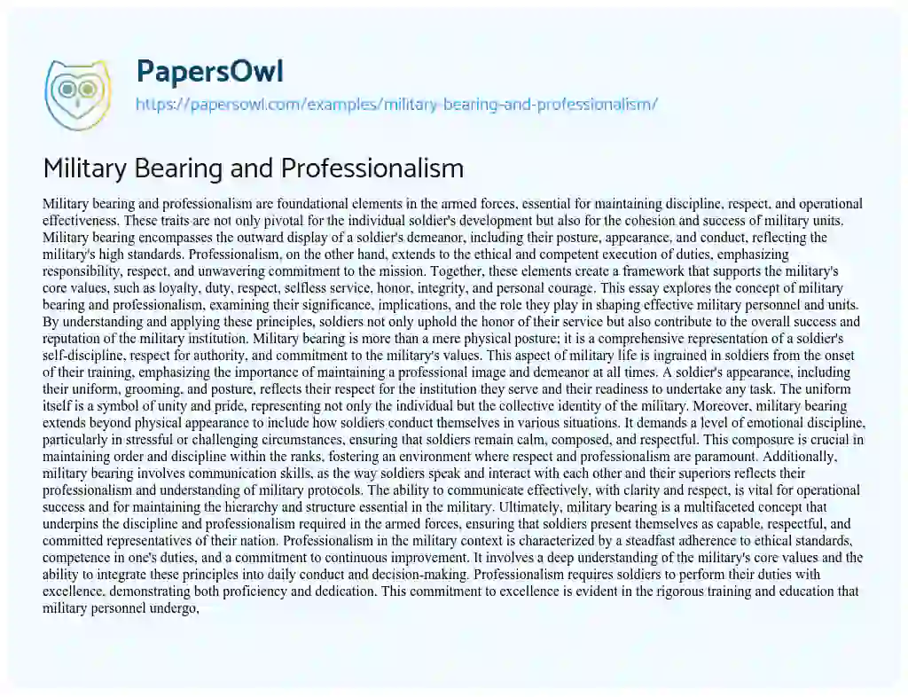 Essay on Military Bearing and Professionalism