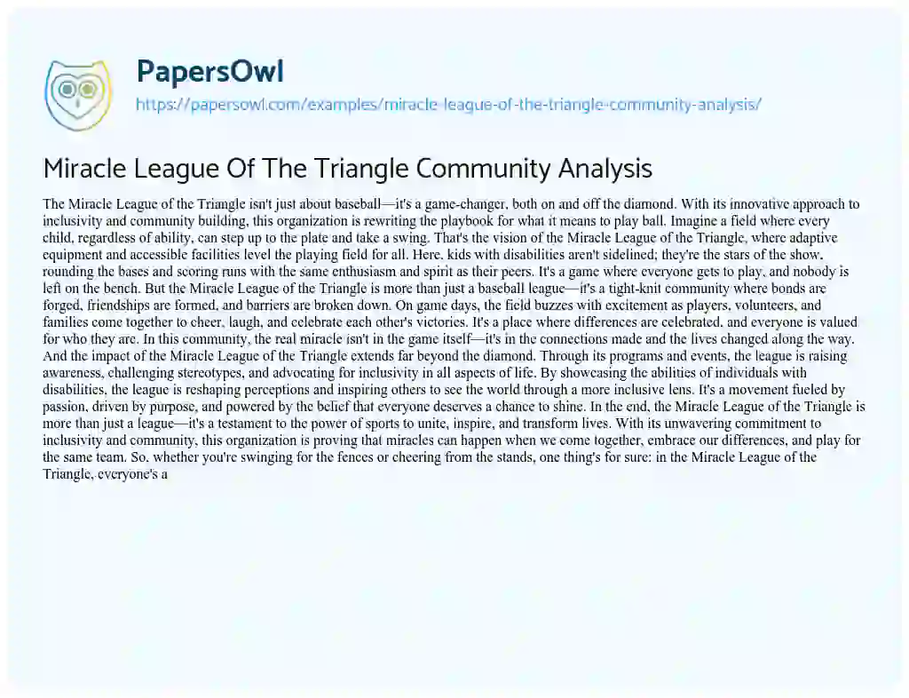 Essay on Miracle League of the Triangle Community Analysis