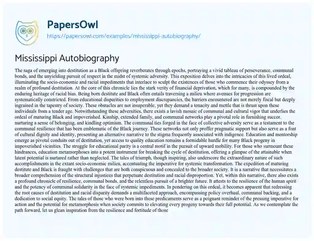Essay on Mississippi Autobiography