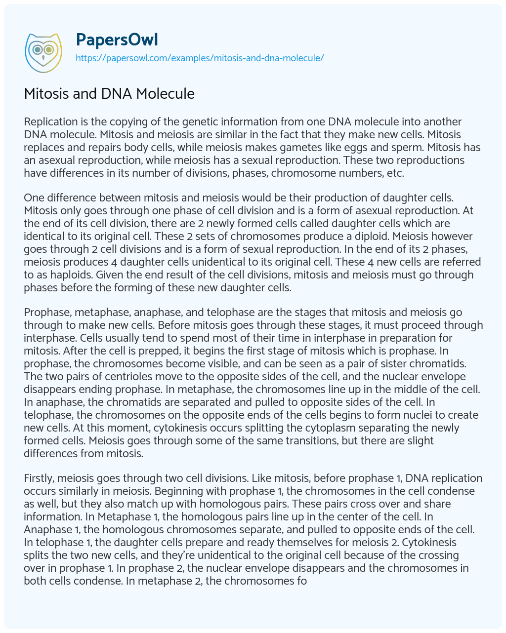 Essay on Mitosis and DNA Molecule