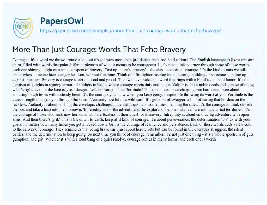 Essay on More than Just Courage: Words that Echo Bravery