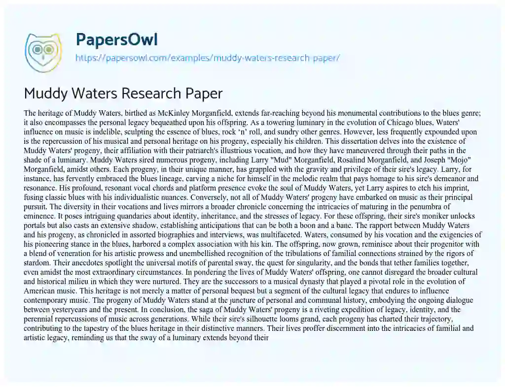 Essay on Muddy Waters Research Paper