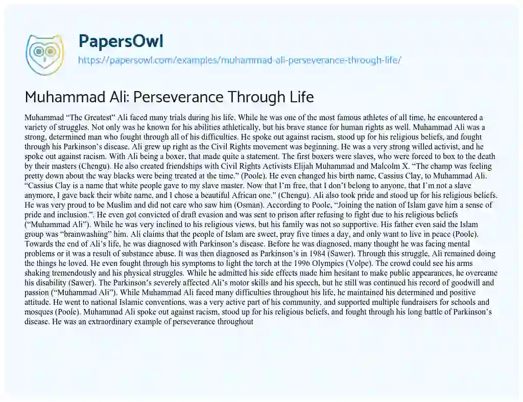 Essay on Muhammad Ali: Perseverance through Life