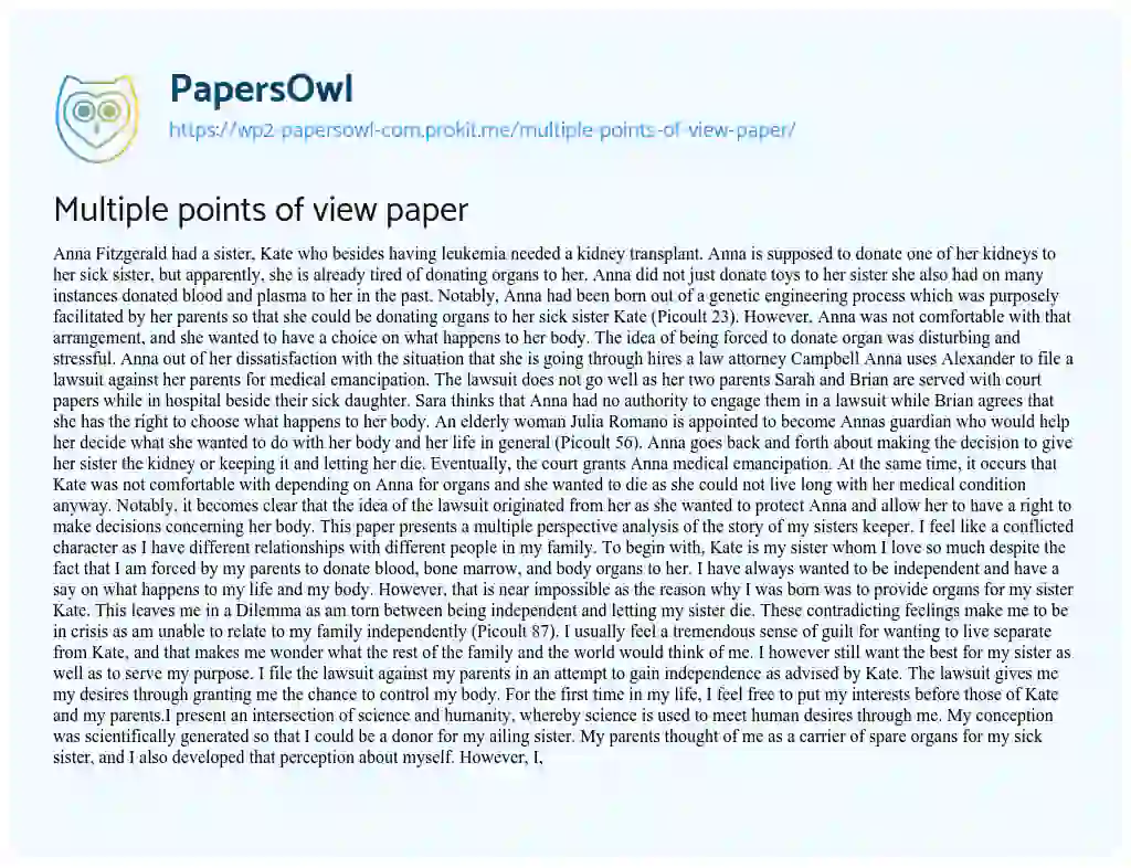 Multiple Points of View Paper essay