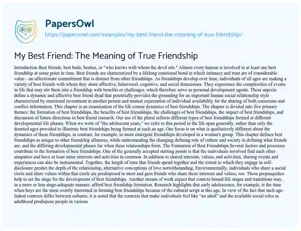 Essay on My Best Friend: The Meaning of True Friendship