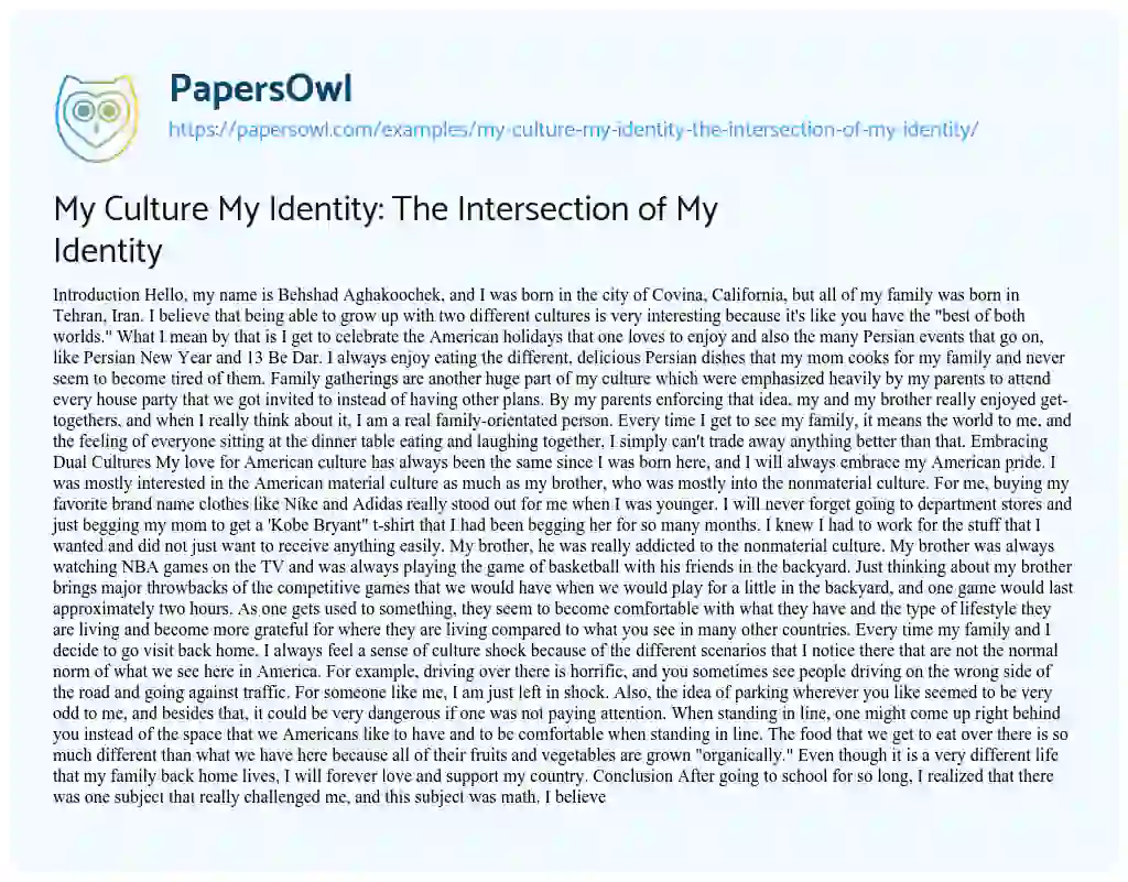 Essay on My Culture my Identity: the Intersection of my Identity