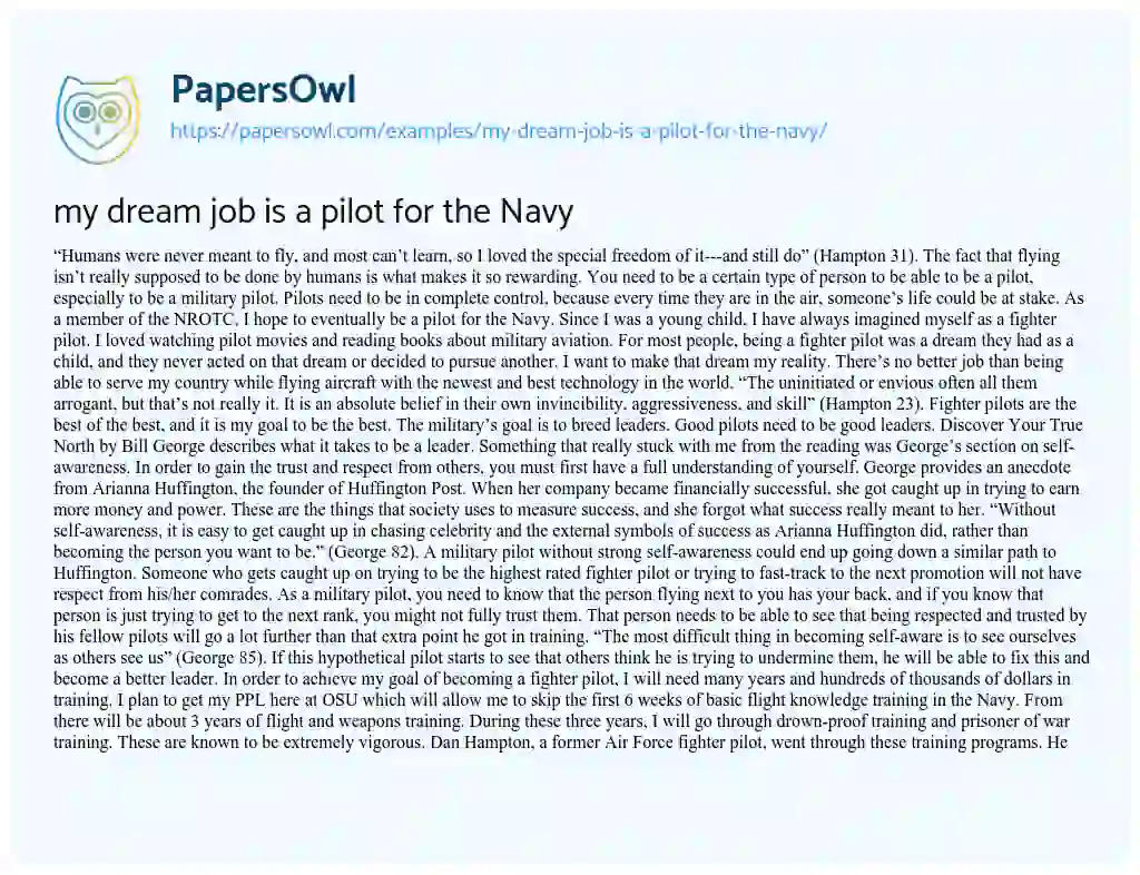 Essay on my Dream Job is a Pilot for the Navy