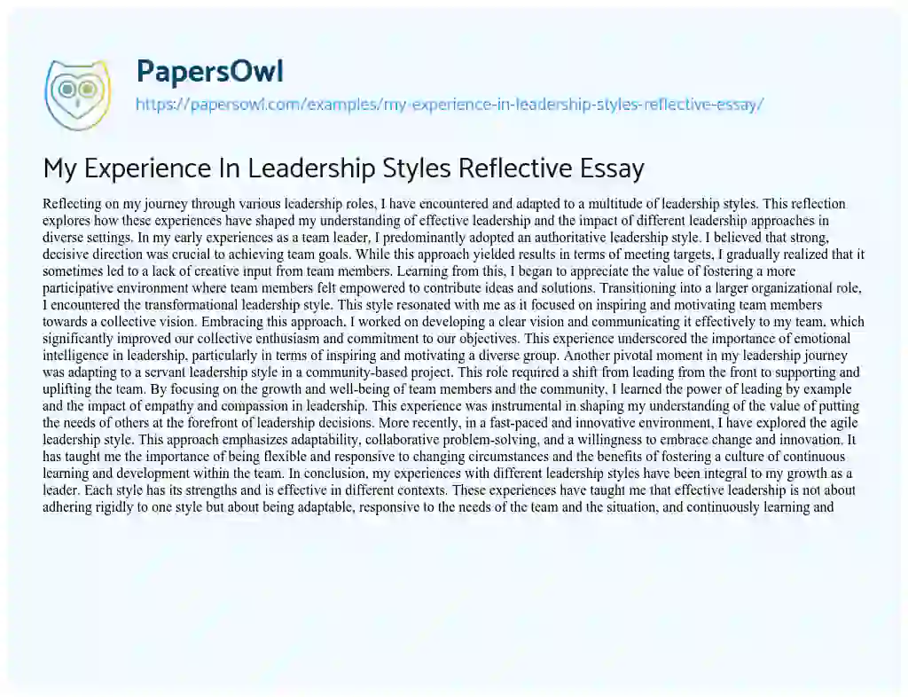 Essay on My Experience in Leadership Styles Reflective Essay
