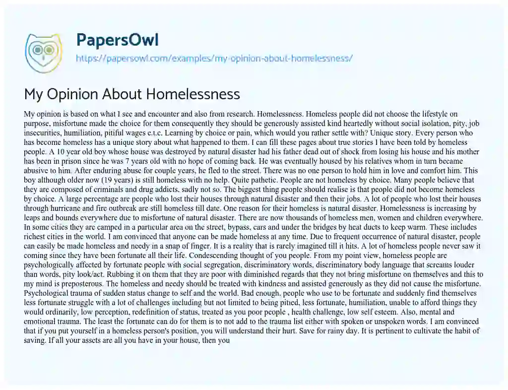 Essay on My Opinion about Homelessness