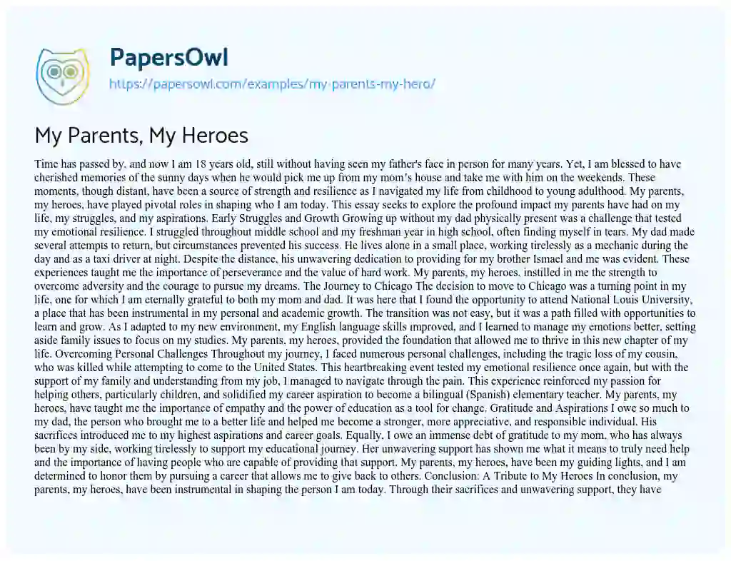 essay about my parents my hero