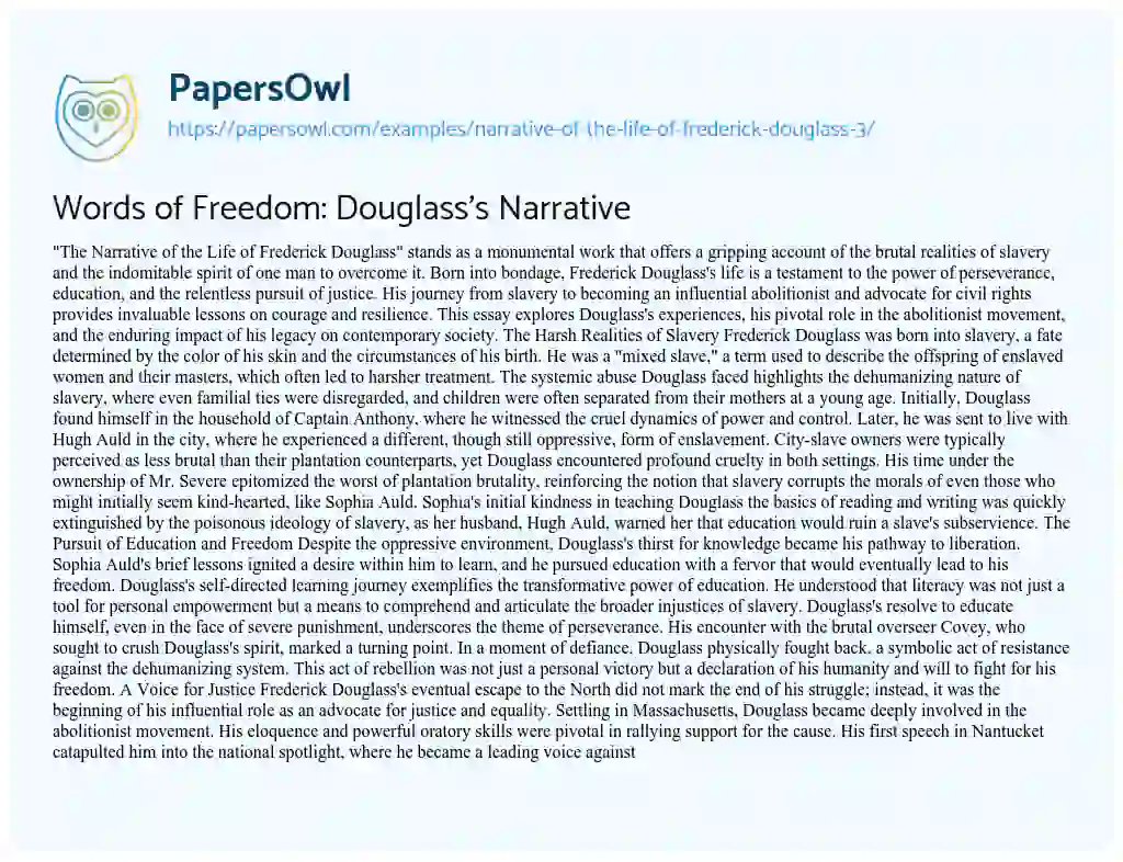 Essay on My Thoughts on Narrative of the Life of Frederick Douglass