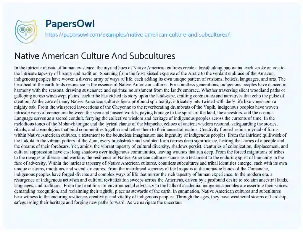 Essay on Native American Culture and Subcultures