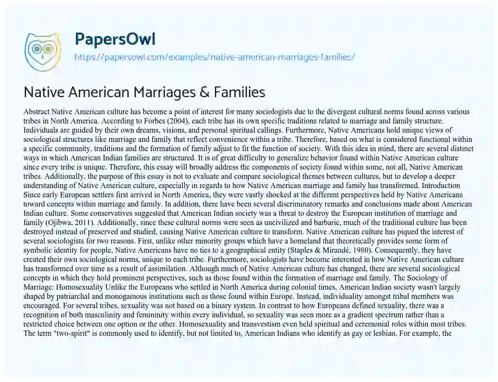 Essay on Native American Marriages & Families