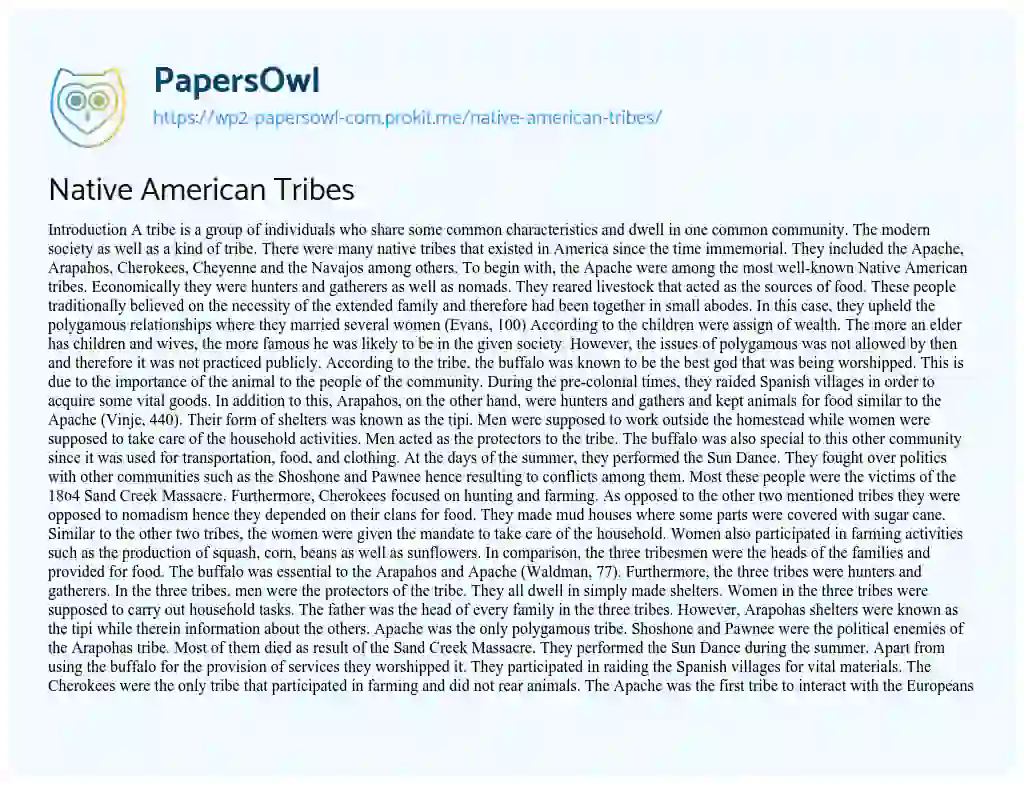 Native American Tribes essay