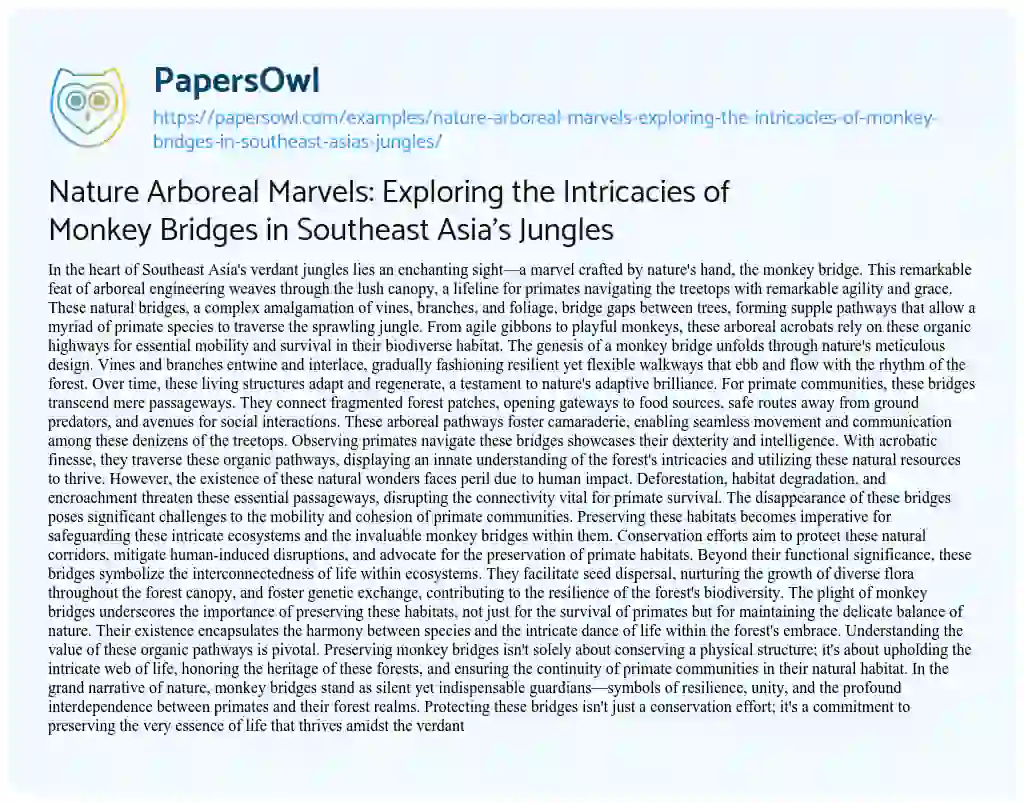 Essay on Nature Arboreal Marvels: Exploring the Intricacies of Monkey Bridges in Southeast Asia’s Jungles