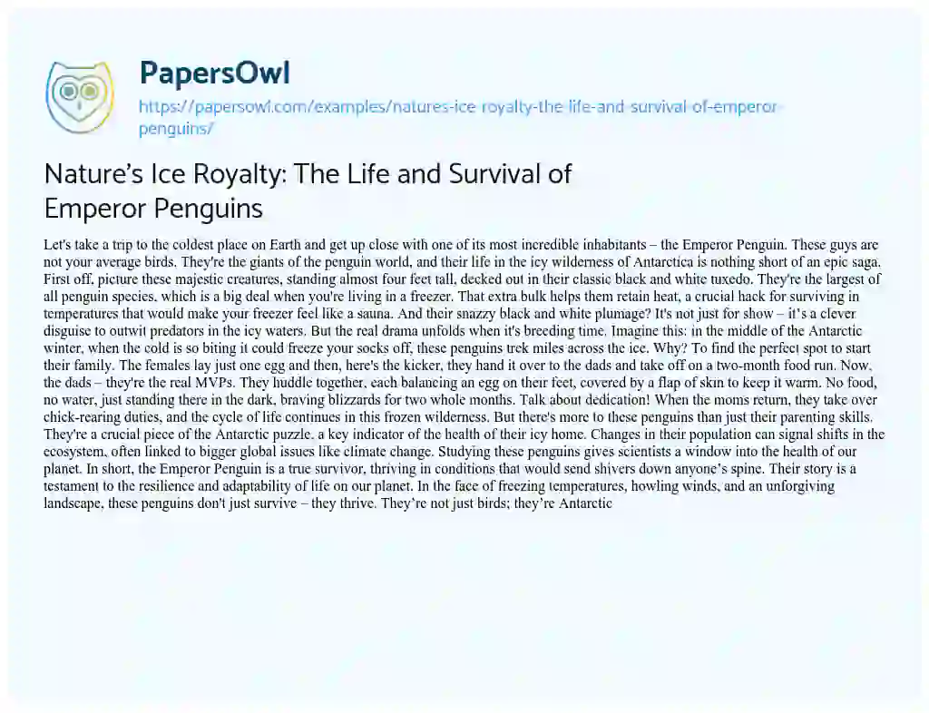 Essay on Nature’s Ice Royalty: the Life and Survival of Emperor Penguins