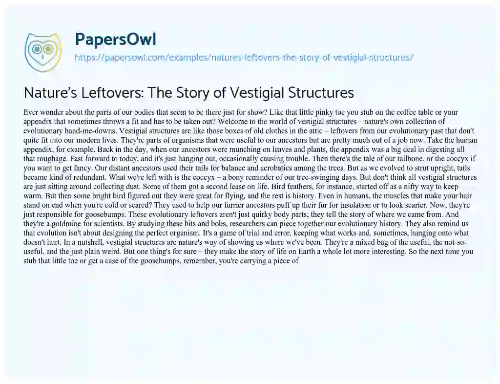 Essay on Nature’s Leftovers: the Story of Vestigial Structures
