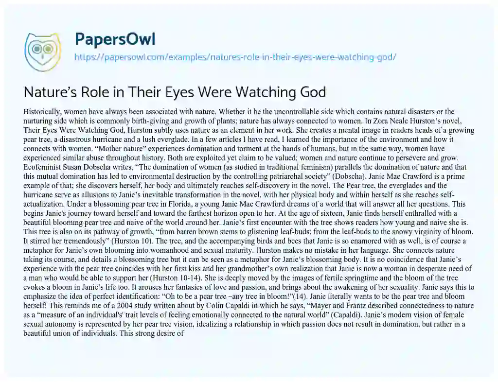 Essay on Nature’s Role in their Eyes were Watching God