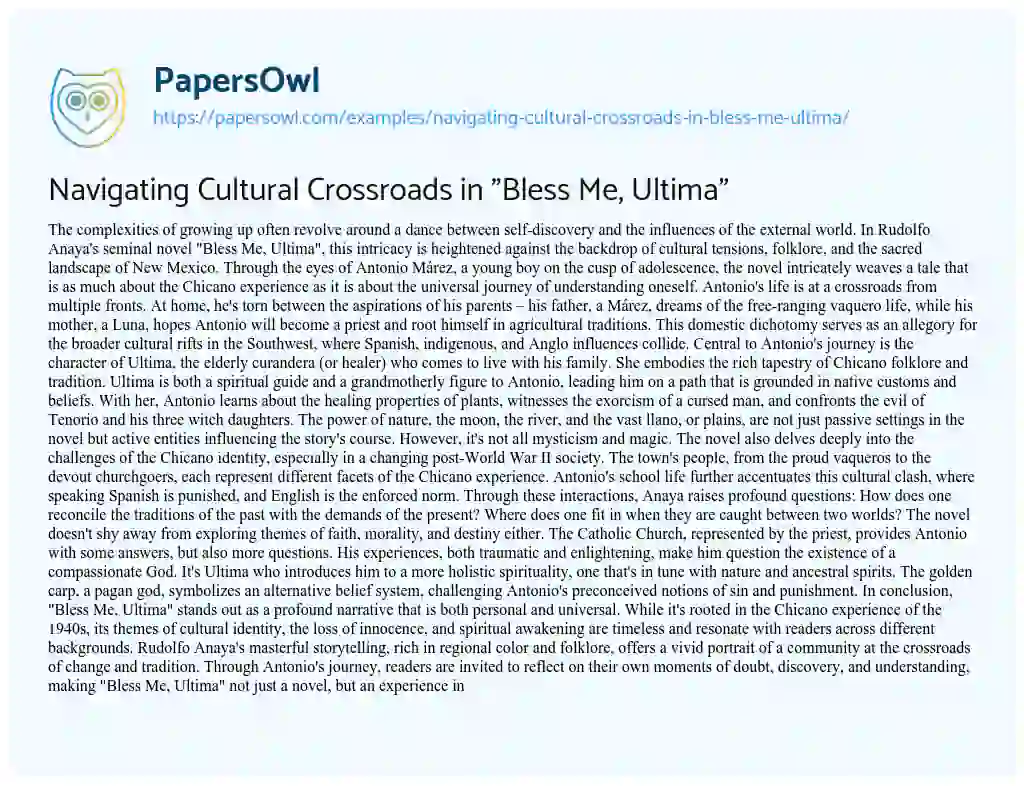 Essay on Navigating Cultural Crossroads in “Bless Me, Ultima”