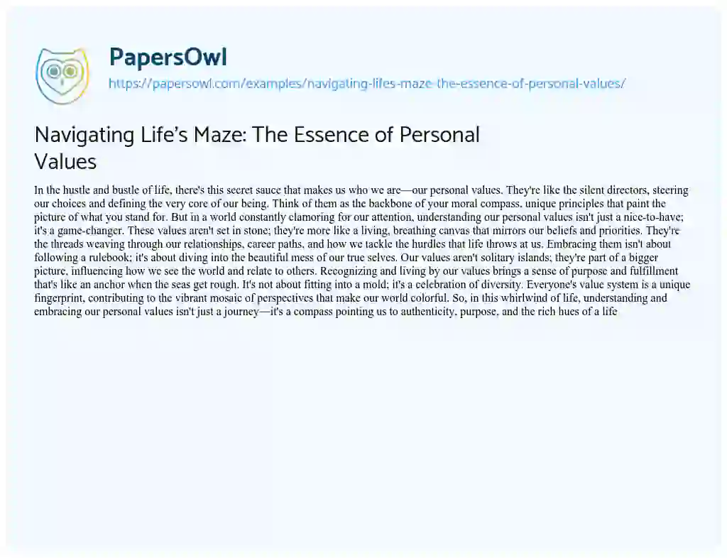Essay on Navigating Life’s Maze: the Essence of Personal Values