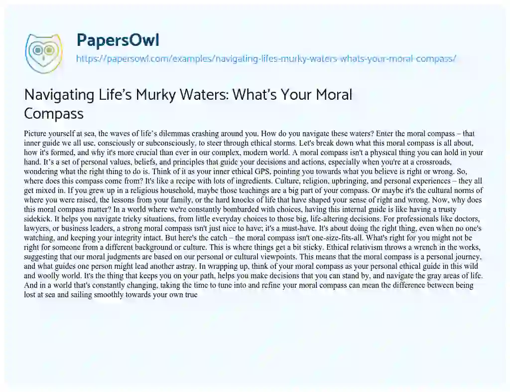 Essay on Navigating Life’s Murky Waters: What’s your Moral Compass