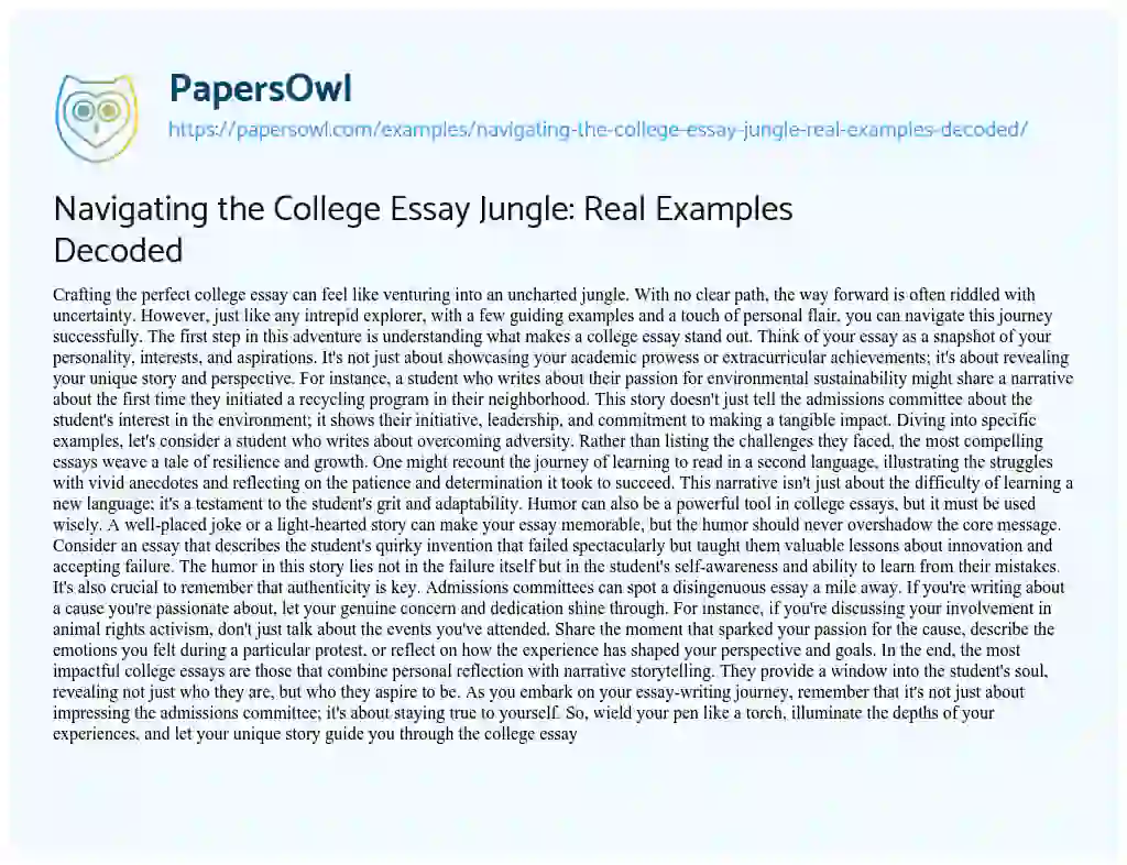 Essay on Navigating the College Essay Jungle: Real Examples Decoded