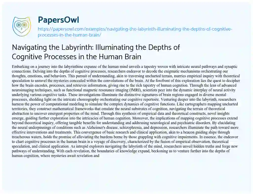 Essay on Navigating the Labyrinth: Illuminating the Depths of Cognitive Processes in the Human Brain