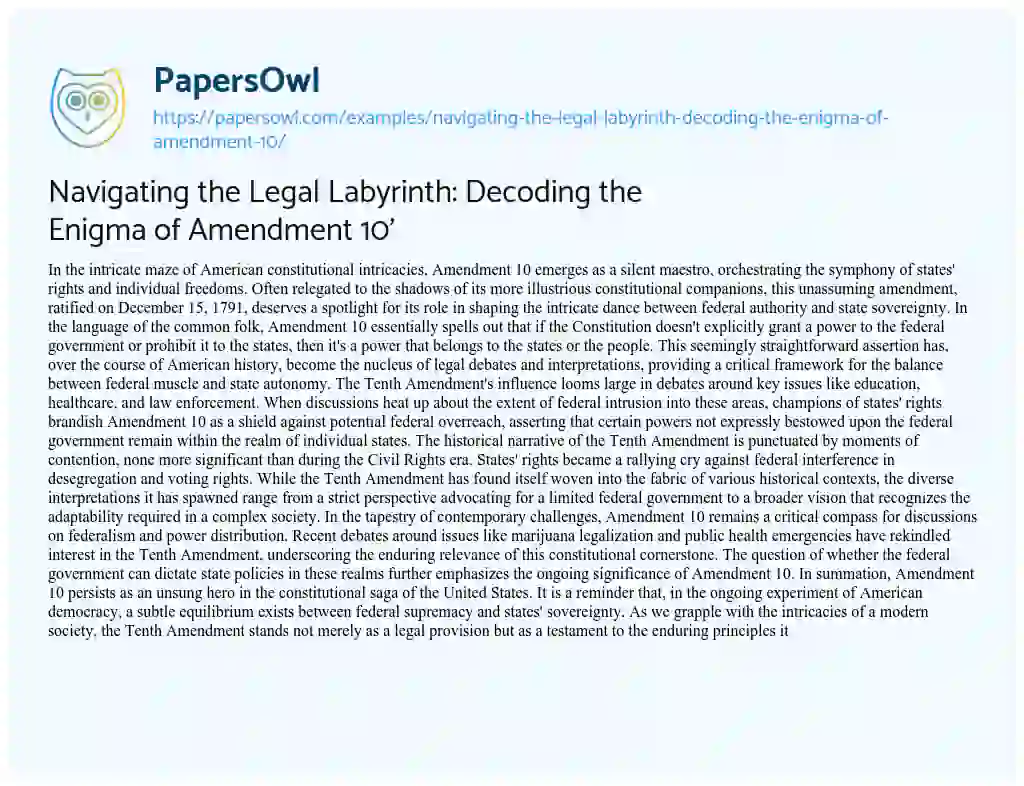 Essay on Navigating the Legal Labyrinth: Decoding the Enigma of Amendment 10′