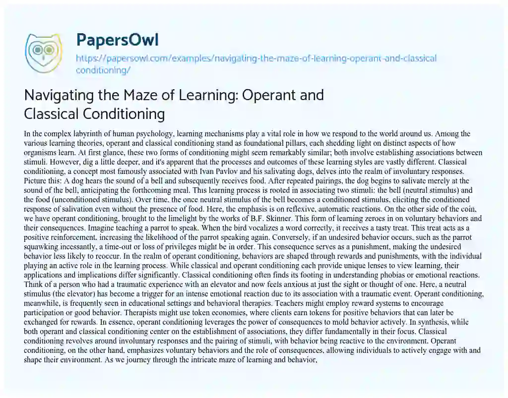Essay on Navigating the Maze of Learning: Operant and Classical Conditioning