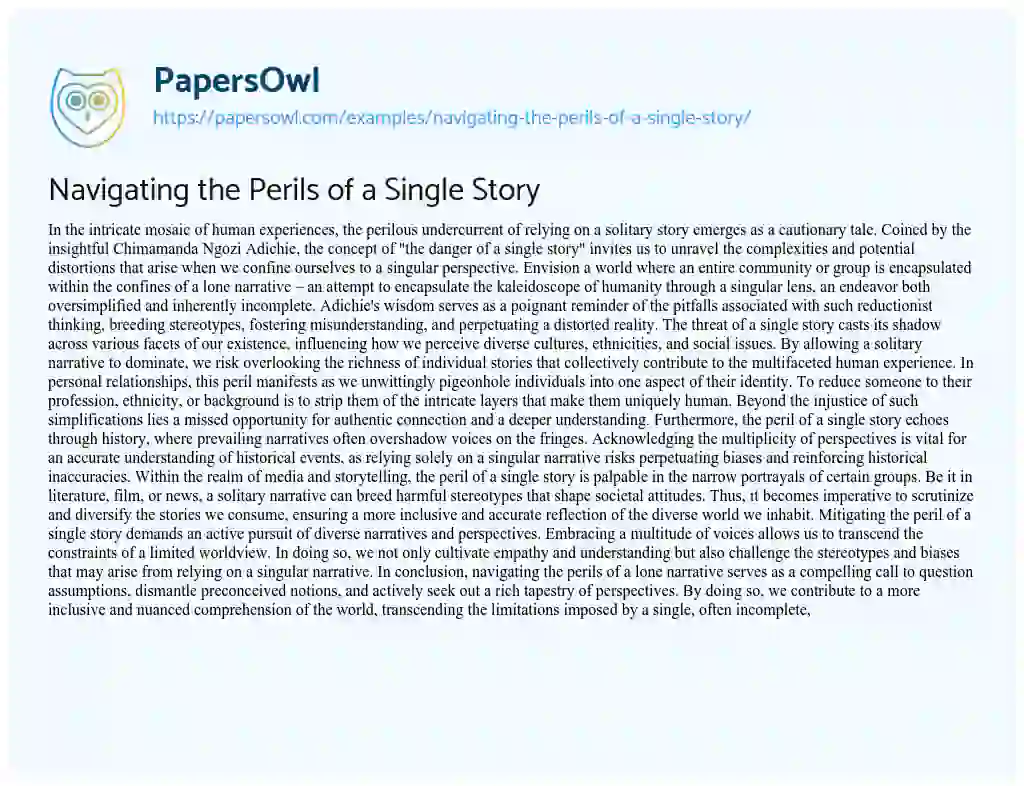 Essay on Navigating the Perils of a Single Story