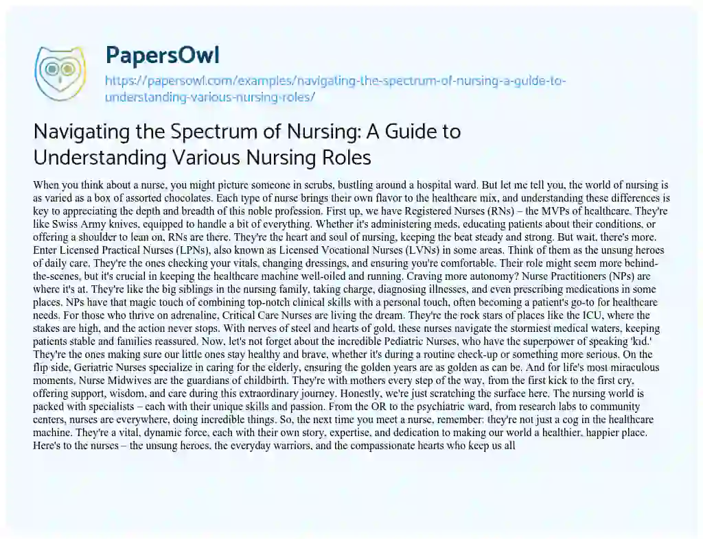 Essay on Navigating the Spectrum of Nursing: a Guide to Understanding Various Nursing Roles