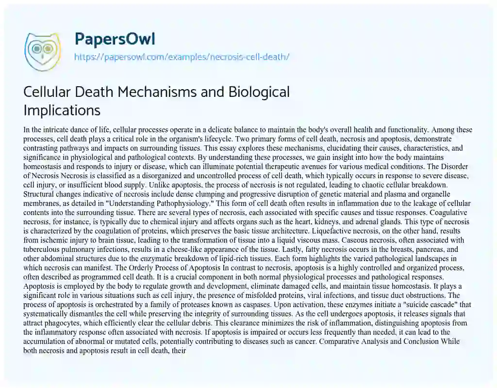 Essay on Necrosis Cell Death