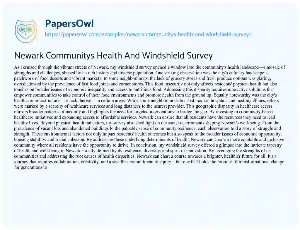 Essay on Newark Communitys Health and Windshield Survey