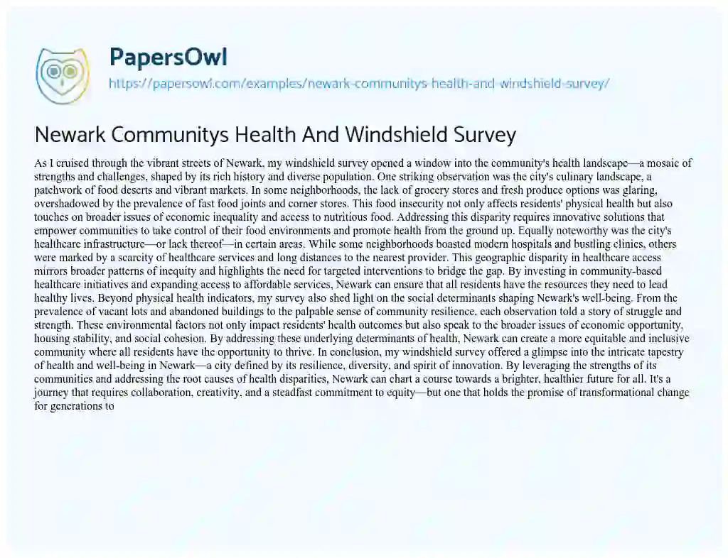 Essay on Newark Communitys Health And Windshield Survey