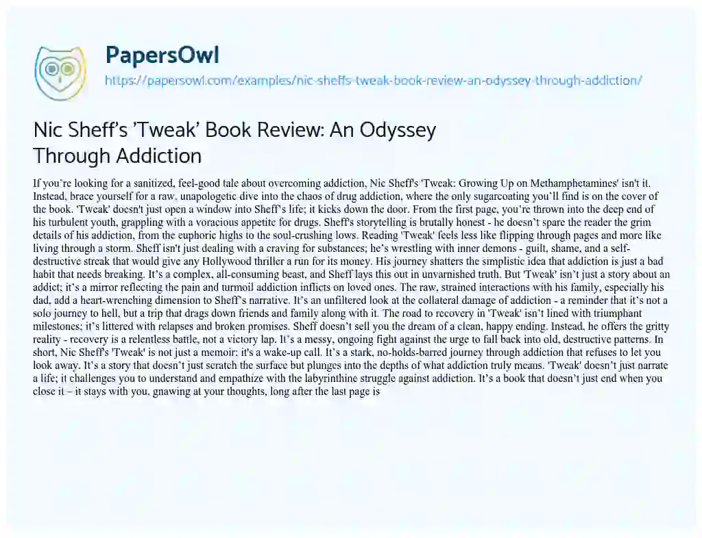 Essay on Nic Sheff’s ‘Tweak’ Book Review: an Odyssey through Addiction