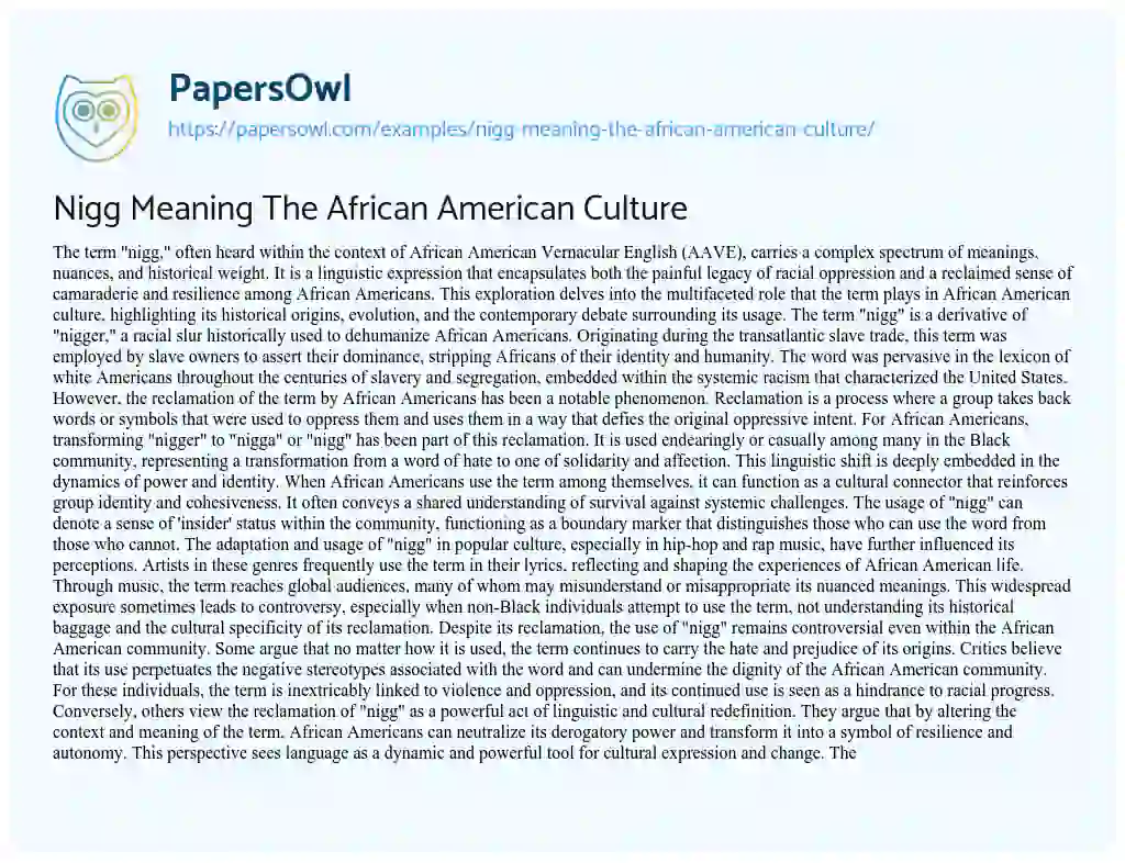 Essay on Nigg Meaning the African American Culture