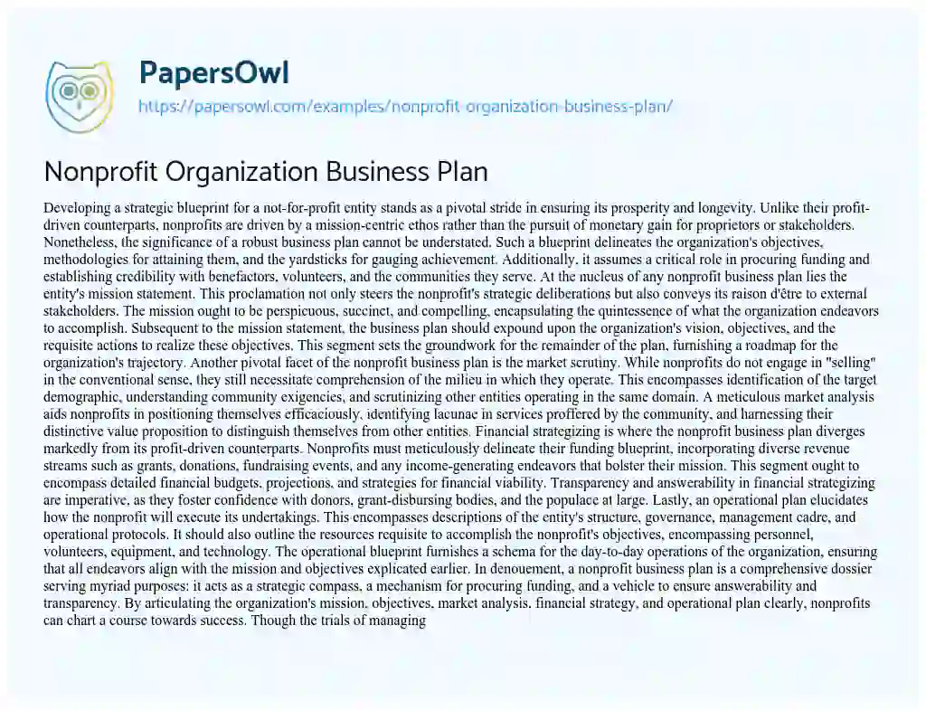 Essay on Nonprofit Organization Business Plan